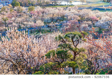 Ume Mito Kairakuen 92067336