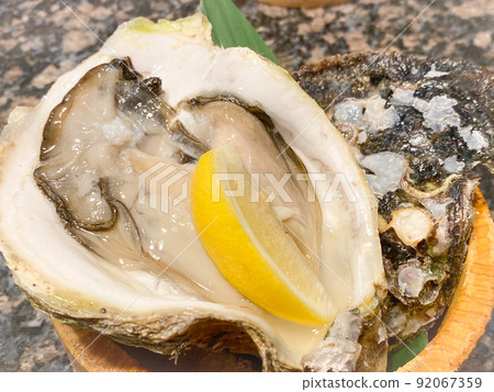 Rocks from the islands of Shimane and Okinoshima 92067359