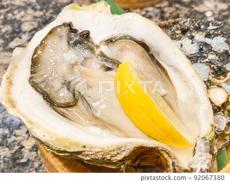 島根和沖之島的岩石 92067380