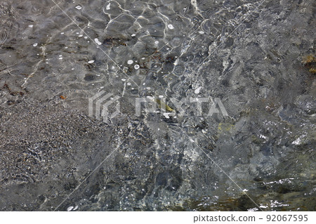 七家灣溪 七家灣溪 92067595