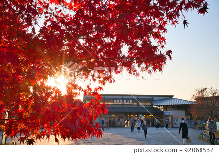 [Kyoto] Hankyu Arashiyama Station during the autumn leaves season in November 92068532