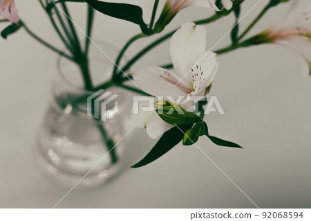 六出花_39 六出花_39 92068594