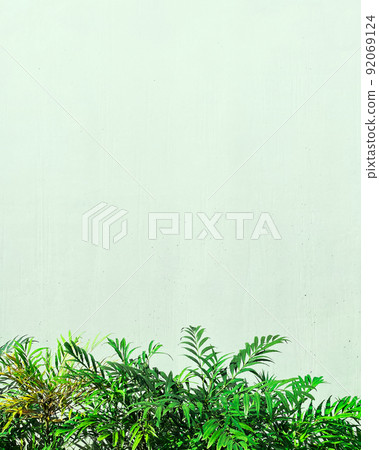 Vertical background image with leaves of Berberis fortunei under a wide pale green concrete wall 92069124