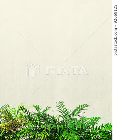 Vertical background image with green leaves of Berberis fortunei under a wide pale yellow concrete wall Vertical background image with green leaves of Berberis fortunei under a wide pale yellow concrete wall 92069125