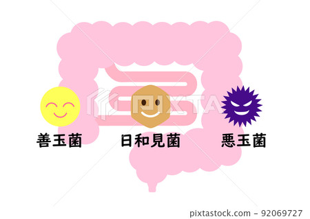 Illustration of the intestine where good bacteria, opportunistic bacteria and bad bacteria coexist. 92069727