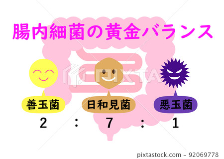 腸道活動圖像。該圖顯示了腸道細菌的理想比例。 92069778