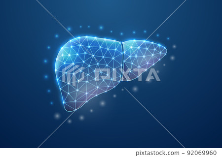 Liver 3d symbol in blue low poly style. Hepatitis, human transplantation design concept illustration. Organ anatomy polygonal wireframe. 92069960