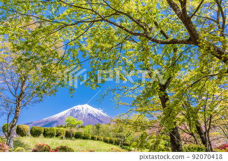 (Shizuoka Prefecture) Fujinomiya Municipal Asagiri Cemetery surrounded by fresh green Mt. Fuji (Shizuoka Prefecture) Fujinomiya Municipal Asagiri Cemetery surrounded by fresh green Mt. Fuji 92070418