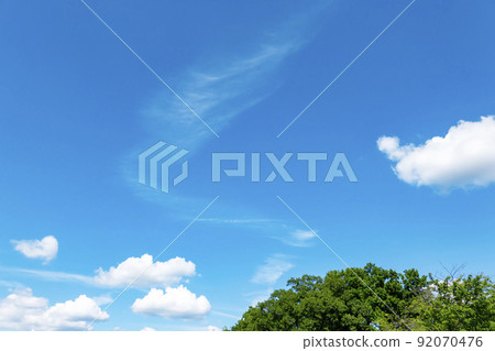 初夏的藍天和小樹林 初夏的藍天和小樹林 92070476