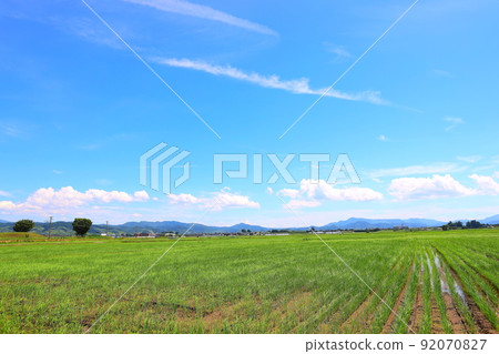 青森縣稻中館村初夏的田園風光 青森縣稻中館村初夏的田園風光 92070827