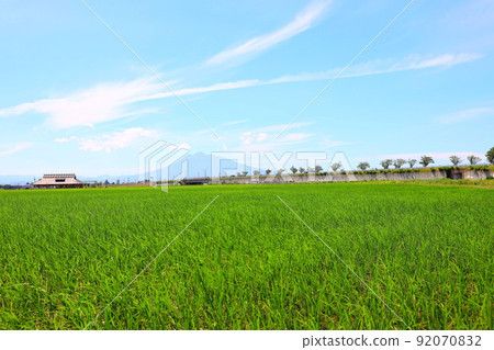 青森縣稻中館村初夏的田園風光與岩木山 青森縣稻中館村初夏的田園風光與岩木山 92070832