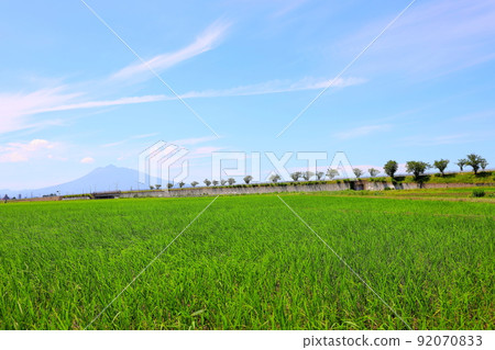 青森縣稻中館村初夏的田園風光與岩木山 青森縣稻中館村初夏的田園風光與岩木山 92070833