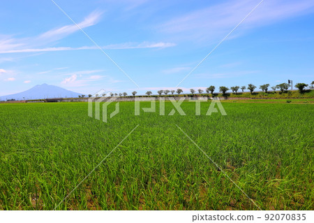 Rural scenery and Mt. Iwaki in early summer in Inakadate Village, Aomori Prefecture Rural scenery and Mt. Iwaki in early summer in Inakadate Village, Aomori Prefecture 92070835
