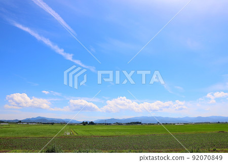 青森縣稻中館村初夏的田園風光 青森縣稻中館村初夏的田園風光 92070849