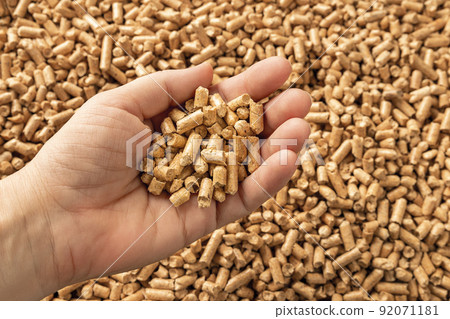 Wood pellets in the woman hand palm. Person hand holds a handful of wooden pellet fuel. 92071181