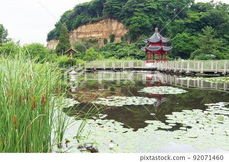 Summer of Shanghai Yokohama Friendship Garden Summer of Shanghai Yokohama Friendship Garden 92071460