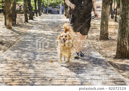 An adult woman walks with her mixed-breed dog through sunny city. Long-haired red dog of mixed breed looks at camera. Digital watercolor painting. Canvas texture An adult woman walks with her mixed-breed dog through sunny city. Long-haired red dog of mixed breed looks at camera. Digital watercolor painting. Canvas texture 92072529