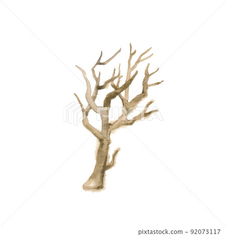 死樹素材 92073117