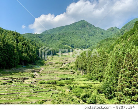 Aota of terraced rice fields that shine against the blue sky and deep green [Yotsuya Senmaida / Shinshiro City, Aichi Prefecture] 92073184