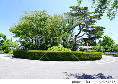 環形交叉路循環 環形交叉路循環 92074247