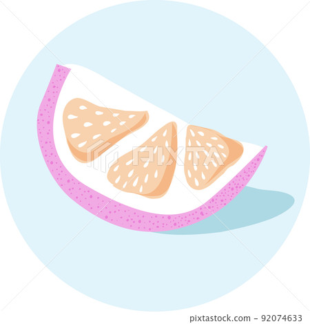 Citrus Vector illustration hand drawn, lime, lemon, orange, grapefruit isolated Citrus Vector illustration hand drawn, lime, lemon, orange, grapefruit isolated 92074633