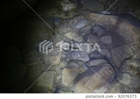 溪蝦 溪蝦 92076373