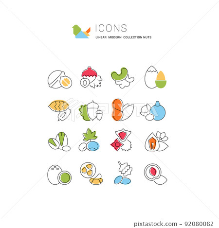 Set Vector Flat Line Icons of Nuts Set Vector Flat Line Icons of Nuts 92080082