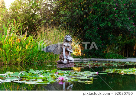 the arboretum in Sochi 92080790
