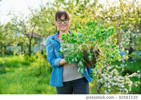 Beautiful middle aged woman with rooted sedum plant looking at camera 92081520
