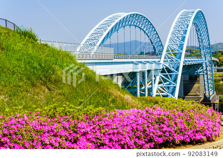 Azaleas in Saikaibashi Park [Saikai City, Nagasaki Prefecture] 92083149