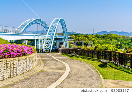 西海橋公園的杜鵑花[長崎縣西海市] 92083157