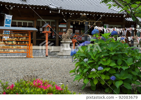 Horaisan Shrine Haiden, Hydrangea approach, Katsuragi Town, Wakayama Prefecture, early summer Horaisan Shrine Haiden, Hydrangea approach, Katsuragi Town, Wakayama Prefecture, early summer 92083679