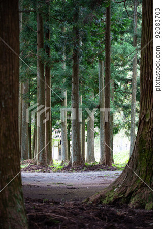 EOS5D. Yamaguchi Iwakuni, somewhere in the forest. 92083703