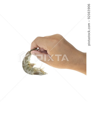 Raw white shrimp in hand, isolated on white background 92083906