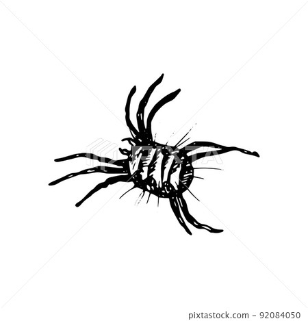 Acarus Icon 92084050