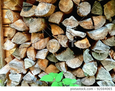 Stacked firewood 92084065