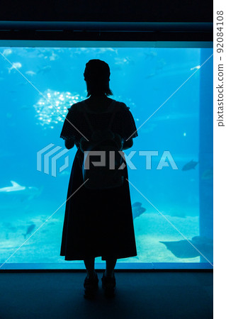 Osaka Aquarium Kaiyukan Camera Girls Silhouette 92084108