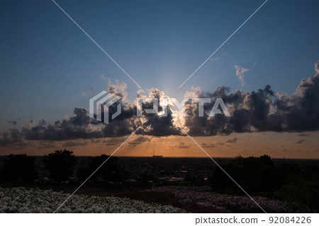 杜鵑花盛開的大乘寺九靈公園的夜景 杜鵑花盛開的大乘寺九靈公園的夜景 92084226