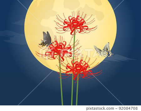 Full moon, cluster amaryllis and swallowtail butterfly Full moon, cluster amaryllis and swallowtail butterfly 92084708
