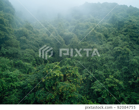 Aerial view of beautiful forest mountain landscape Aerial view of beautiful forest mountain landscape 92084755