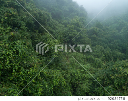 Aerial view of beautiful forest mountain landscape 92084756