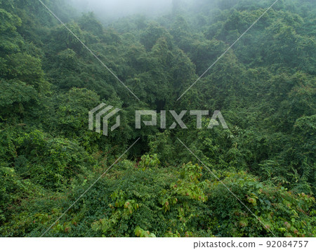 Aerial view of beautiful forest mountain landscape Aerial view of beautiful forest mountain landscape 92084757