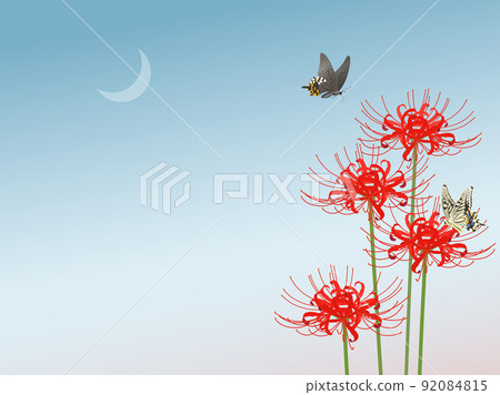 Cluster amaryllis and swallowtail butterflies at dusk_frame Cluster amaryllis and swallowtail butterflies at dusk_frame 92084815