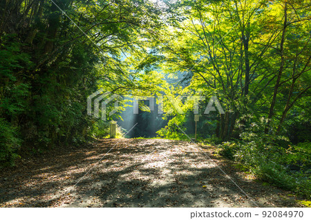來自大峰未開發地區“新仙平”(奈良縣五條市大藤町篠原)的七面山周圍*作品評論部分中的拍攝位置 來自大峰未開發地區“新仙平”(奈良縣五條市大藤町篠原)的七面山周圍*作品評論部分中的拍攝位置 92084970