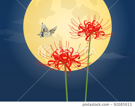 Full moon, cluster amaryllis and swallowtail butterfly 92085013