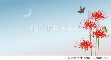 Cluster amaryllis and swallowtail butterflies at dusk_frame (2: 1) 92085017