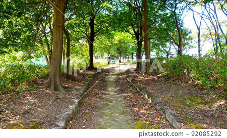 這是一個通往森林中小直徑的石梯。很安靜。 這是一個通往森林中小直徑的石梯。很安靜。 92085292