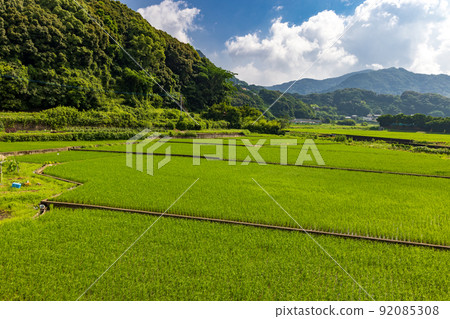 塔0003 92085308