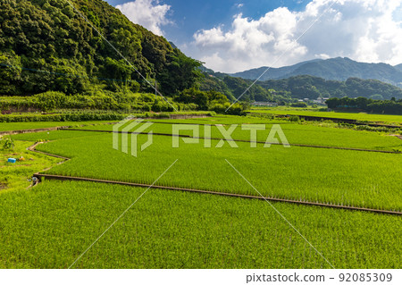 塔0004 92085309