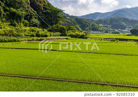 塔0005 92085310